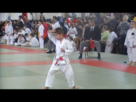 karate_2011.06.12._12-46.png